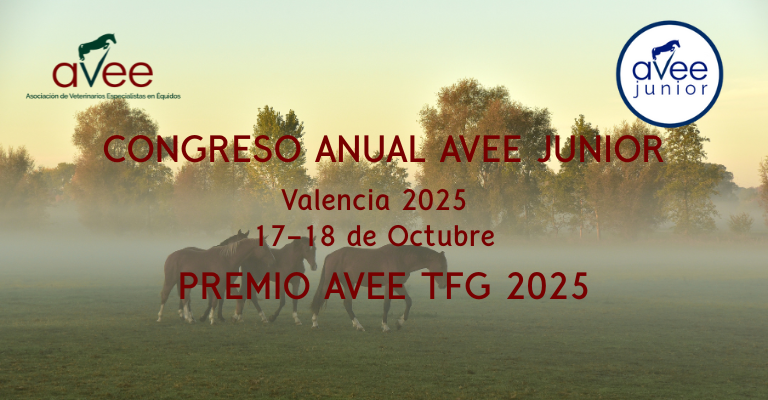 Congreso Avee Junior y Premio al mejor TFG 2025